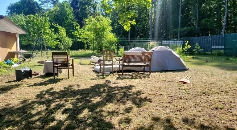 🥚 Waldstellplatz mit Strom & frischen Eiern