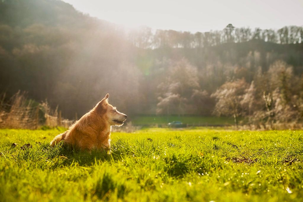 Vacances dans la plus belle vallée latérale de la Moyenne Moselle