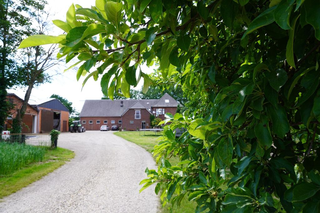 La casita en el bosquecillo