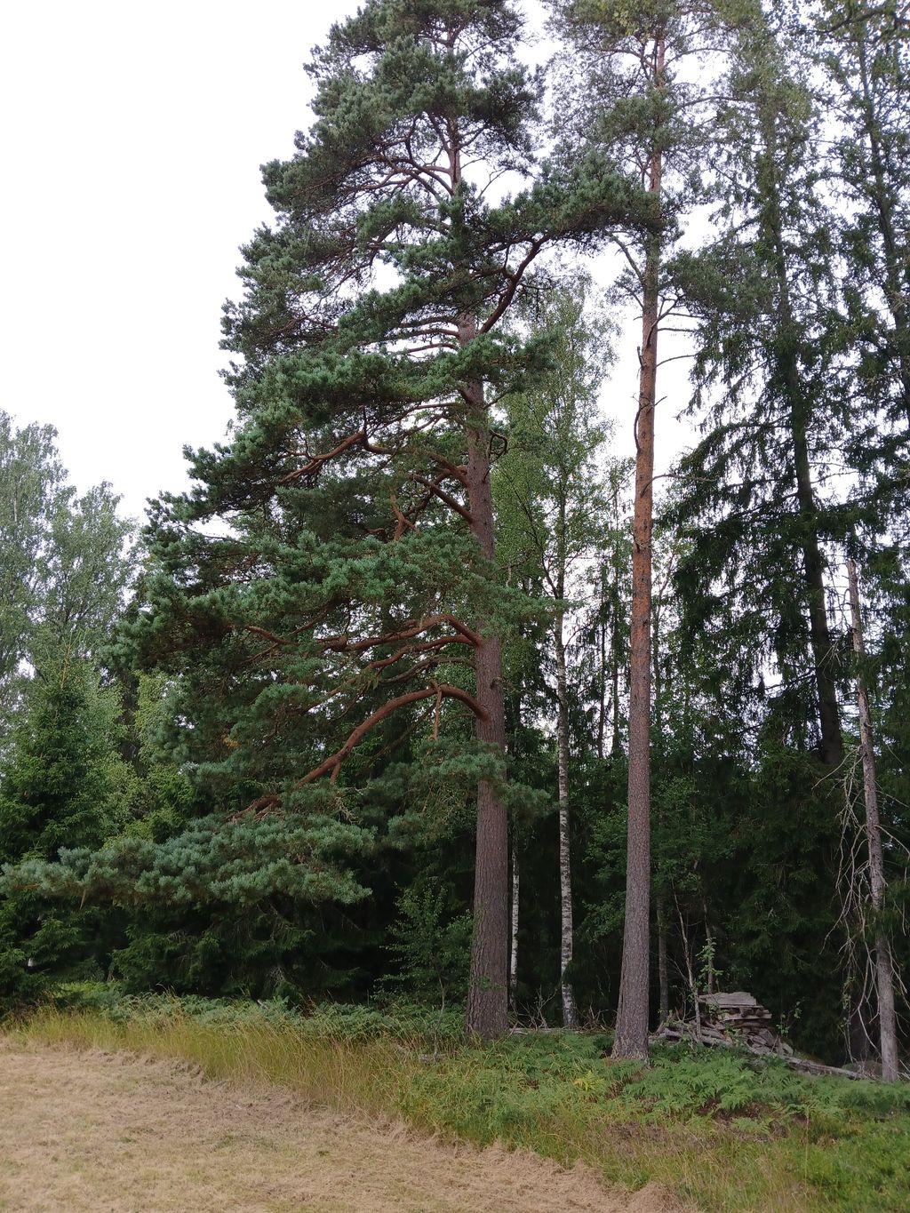 Emplacement dans un endroit absolument isolé