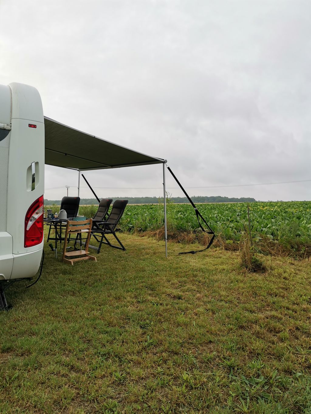 Tranquilidad absoluta: tiempo libre en la granja