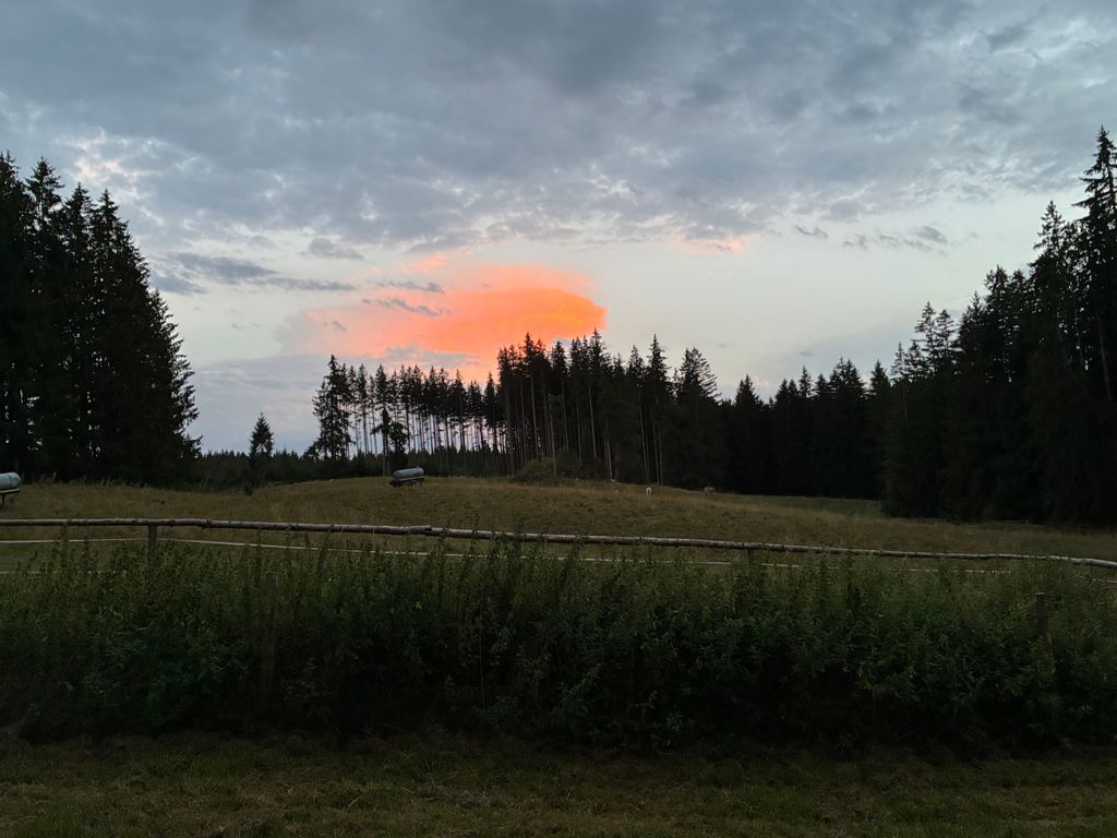Absolute Alleinlage im Allgäu
