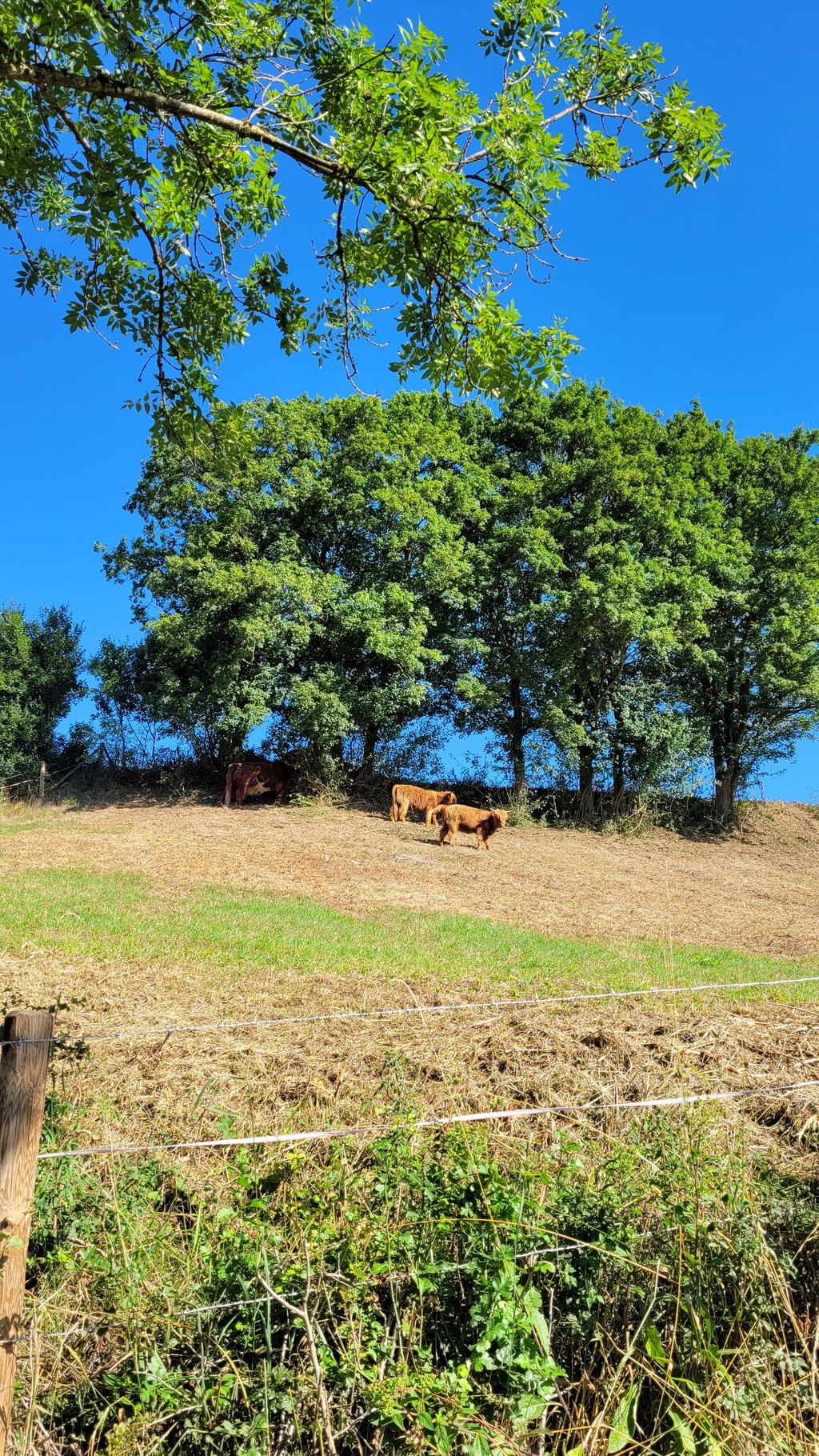 Camp "Eichelhof" in the South Eifel