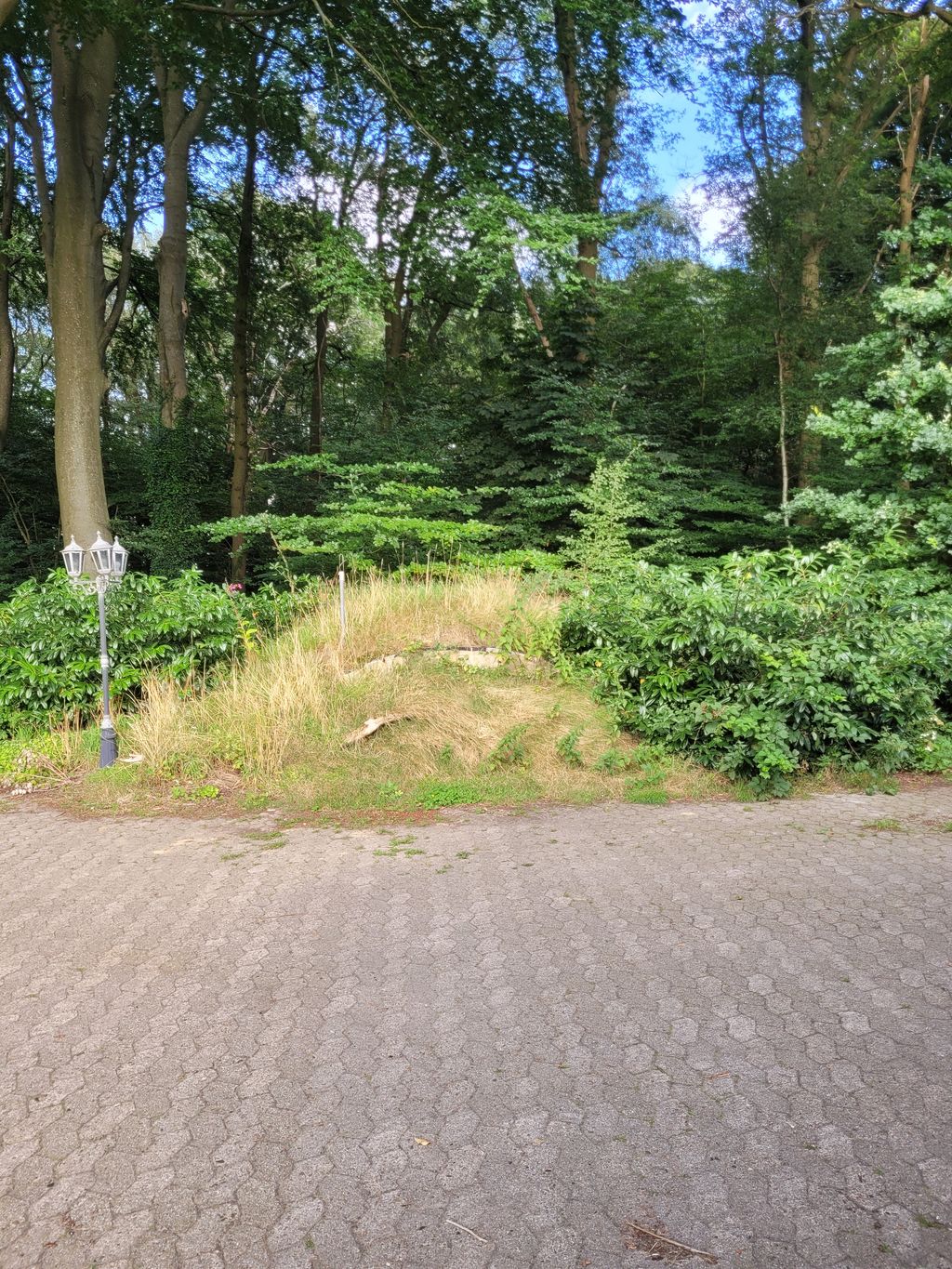 Secluded location at the house in the forest