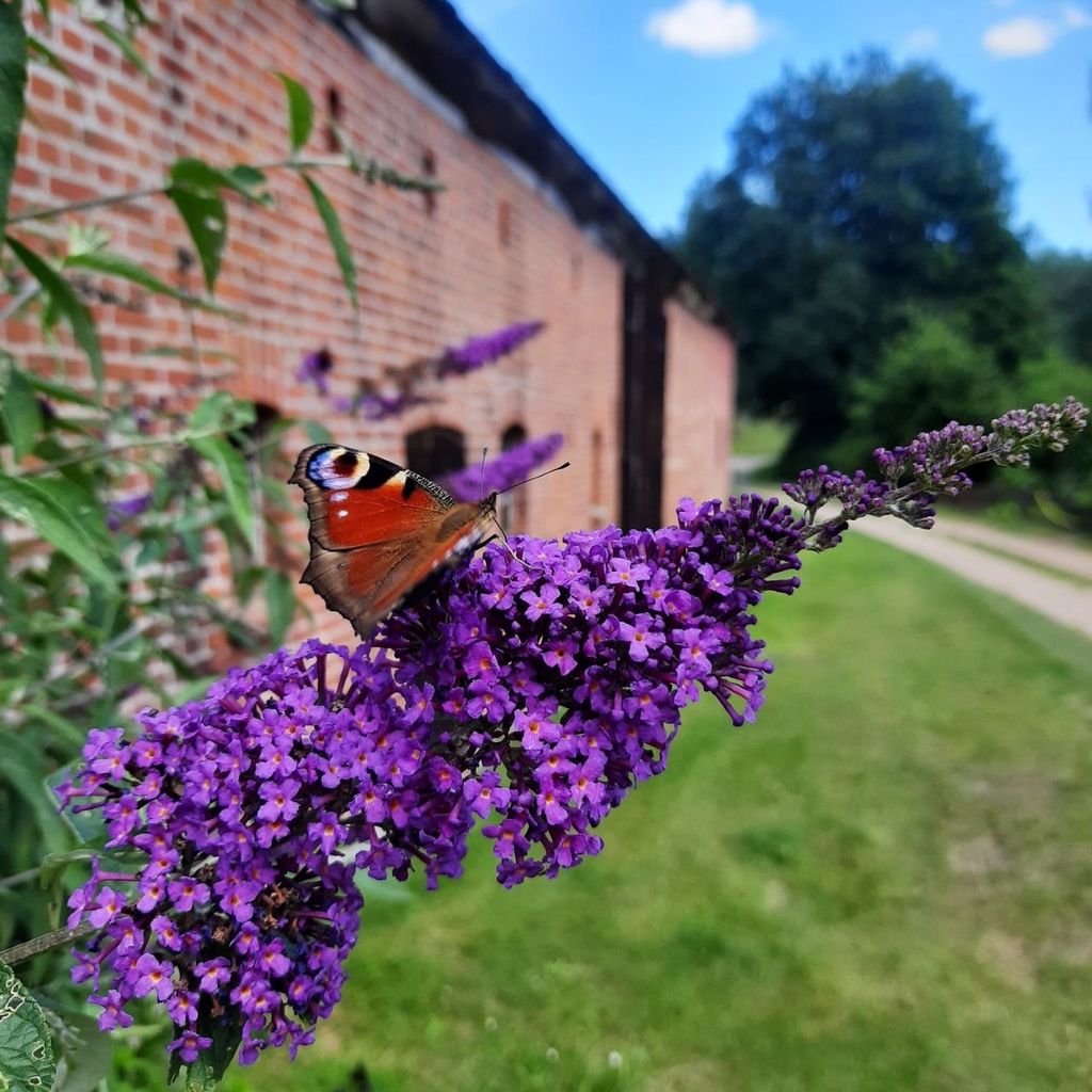 Sguardo lungo la strada