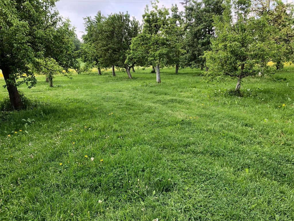 In the orchard next to the tasting room