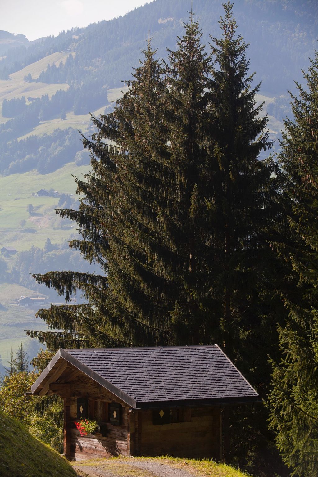 Chalet aislado en los Alpes suizos