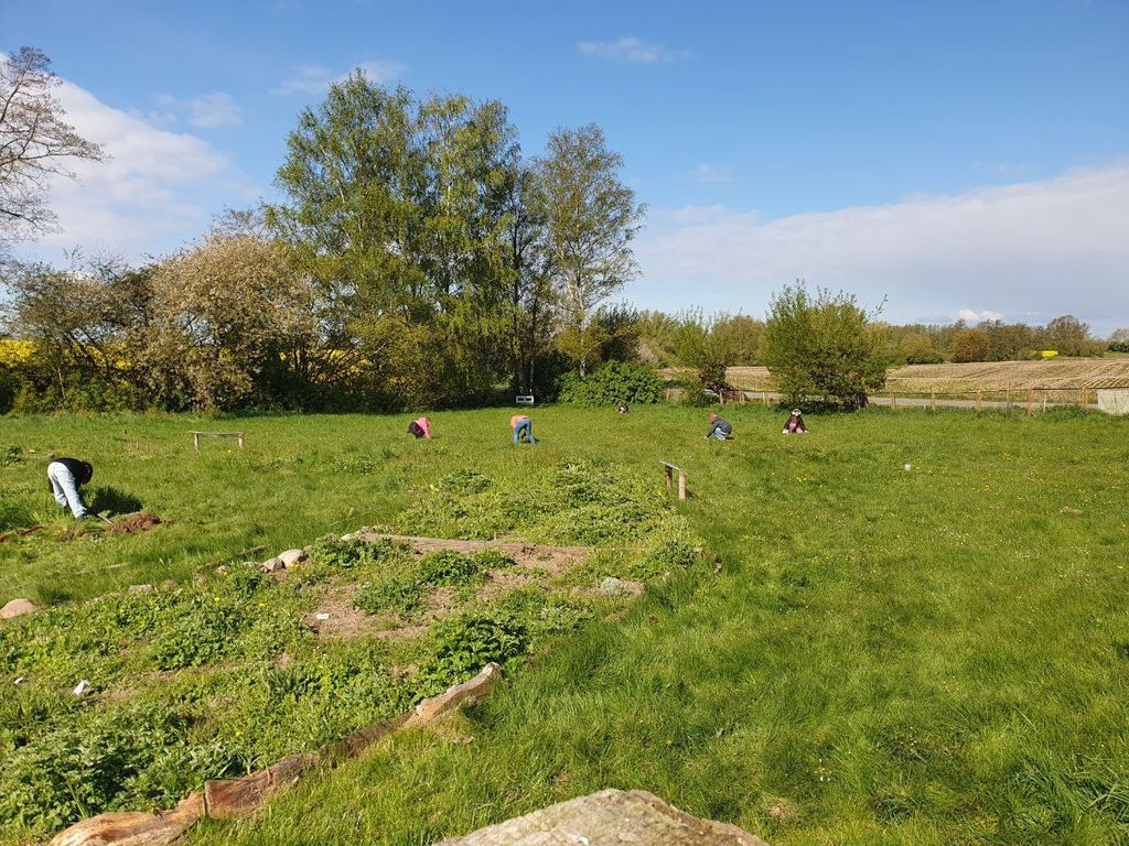 Piazzola del giardino delle erbe selvatiche