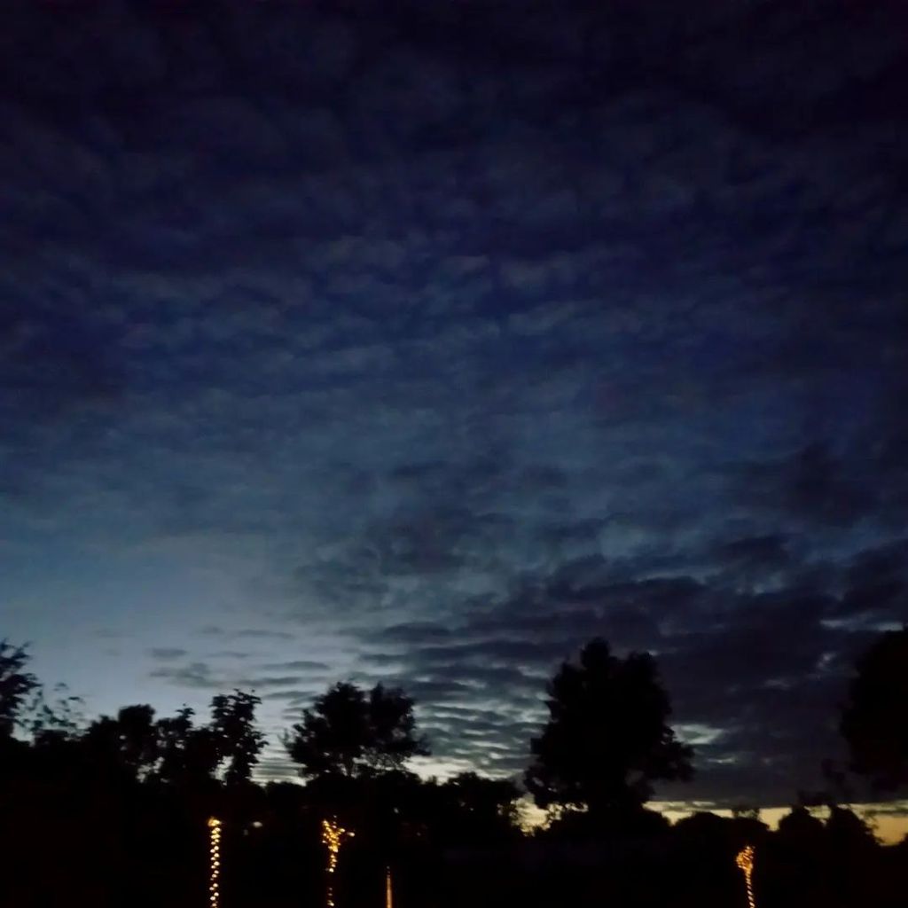 Emplacement 1 près de la maison Heuerhaus Balkum