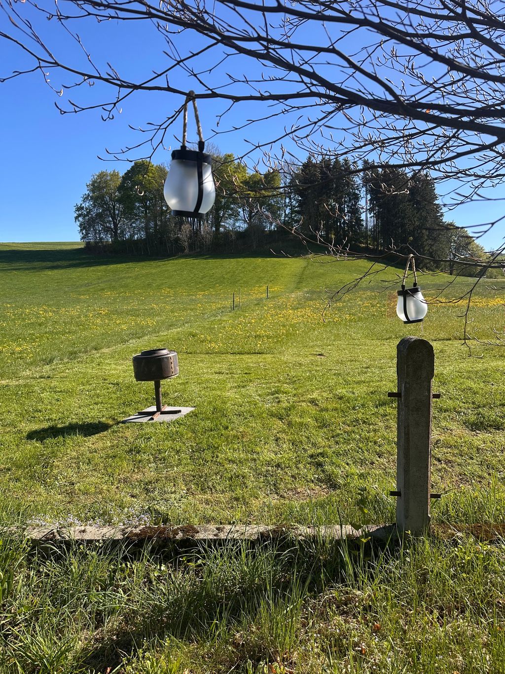 Lisière de forêt et pâturage à moutons : près du château de Neuschwanstein
