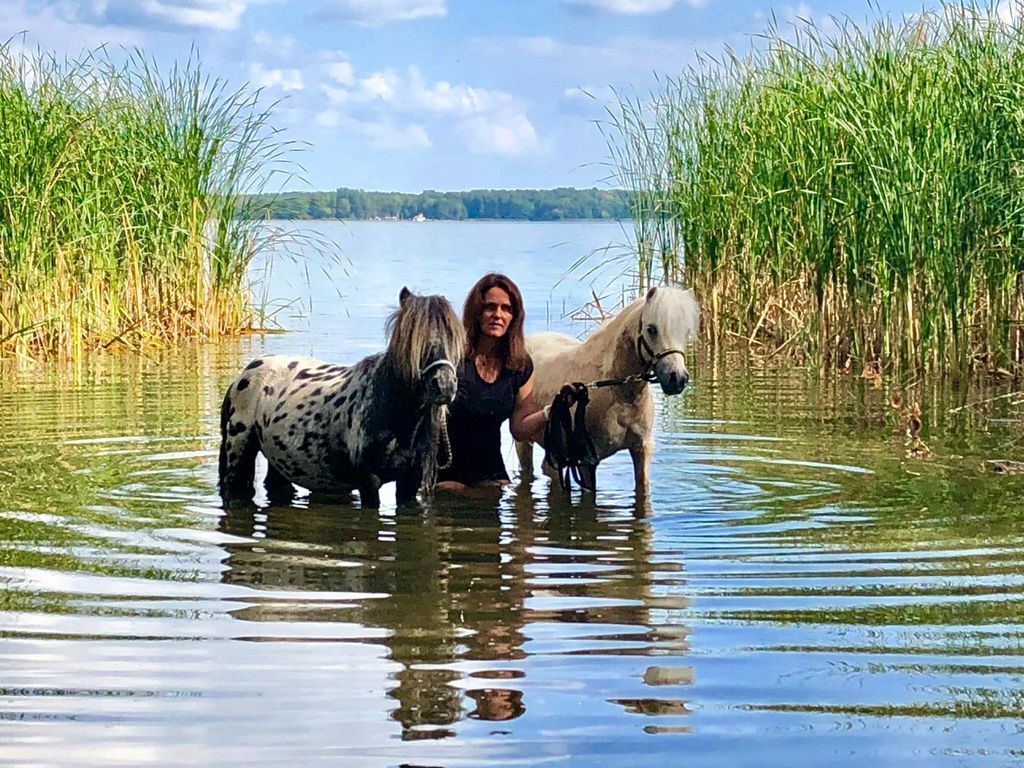 Near Arendsee with alpacas in an idyllic location