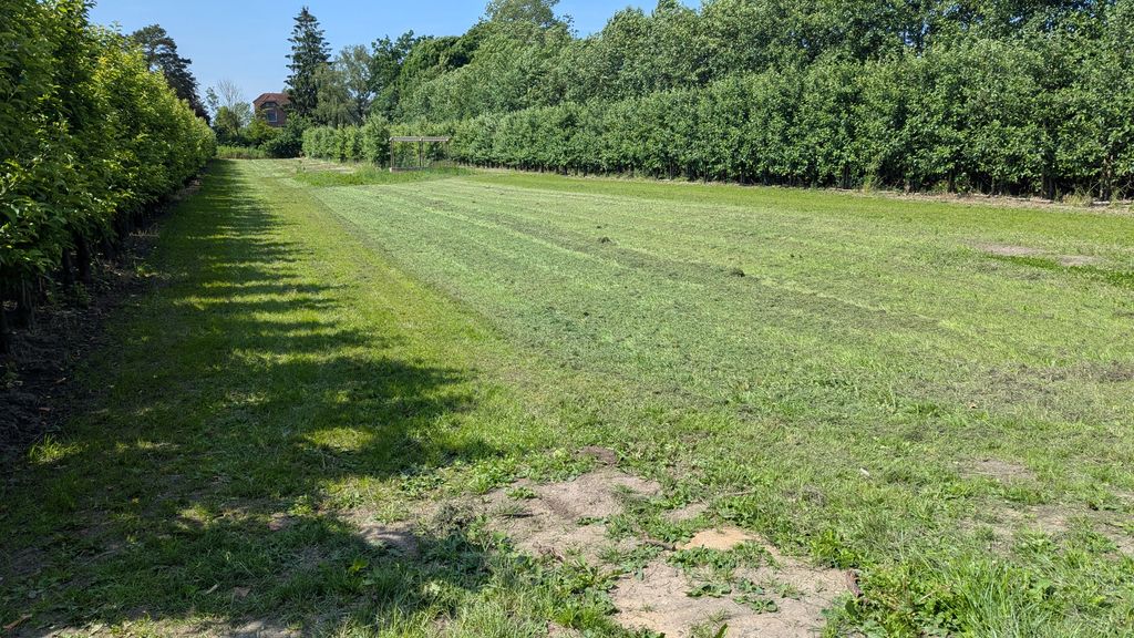 Campen auf unserer Apfelplantage 