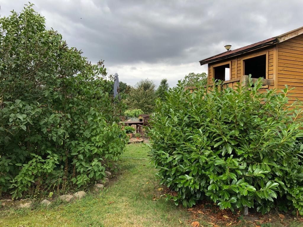 Un endroit calme pour se détendre dans le village d'or