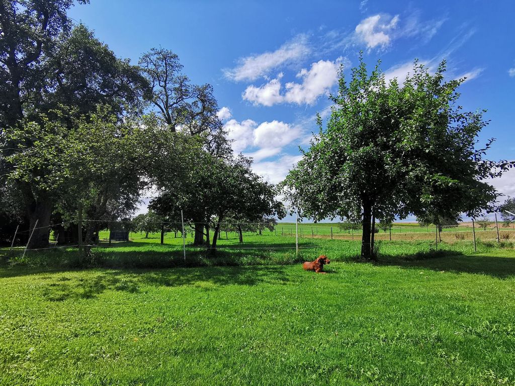 VersteckBar: Romantisches Hideaway in Alleinlage