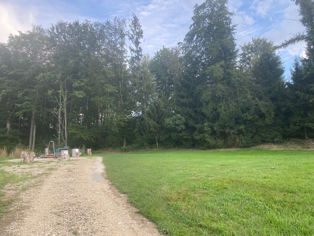Urlaub auf dem Bauernhof - auf der Wiese am Wald