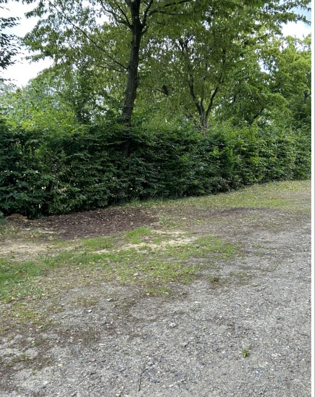 Die Eifel auf einer privaten Reitanlage genießen 