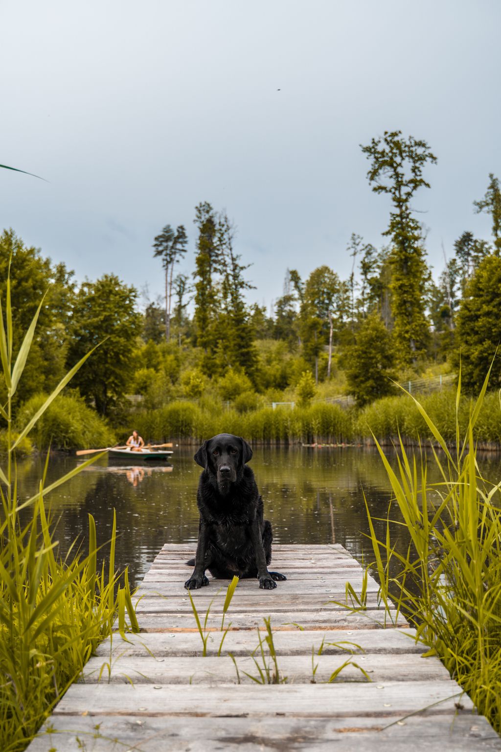 Wilde Heimat, malerische Anlage inmitten der Natur
