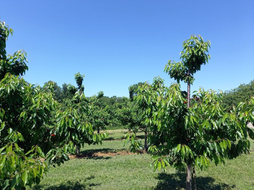 Idillio tranquillo ai piedi della Foresta Nera