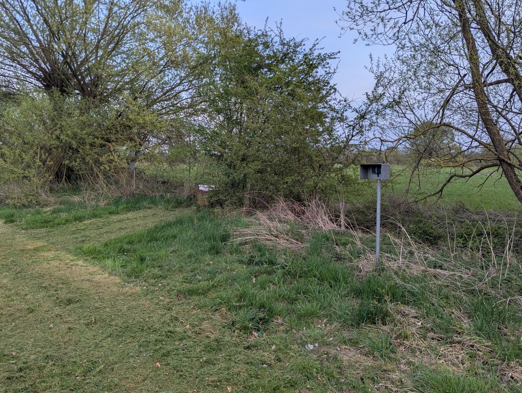 Camping en el aeródromo: vuelo sin motor y acción cerca de Hanau