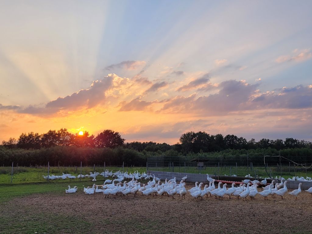 Parcelas tranquilas en nuestra hermosa granja