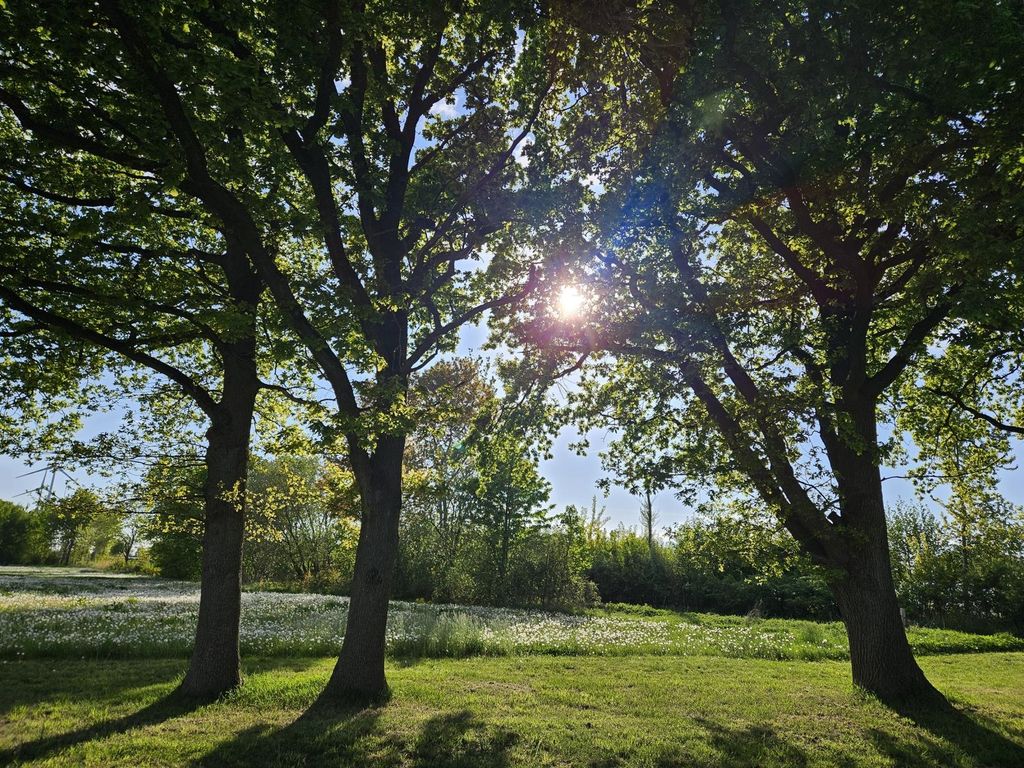 Camping en pleine nature