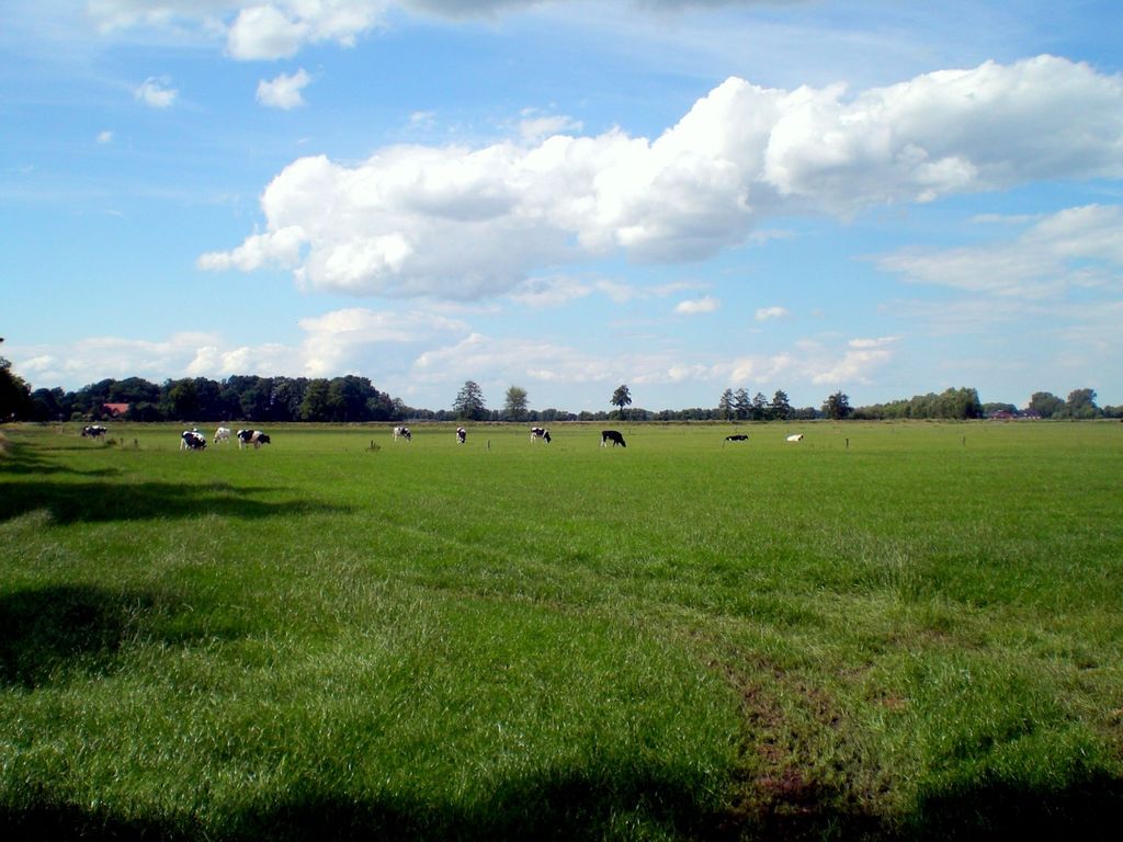 Camping im Oldenburger Land