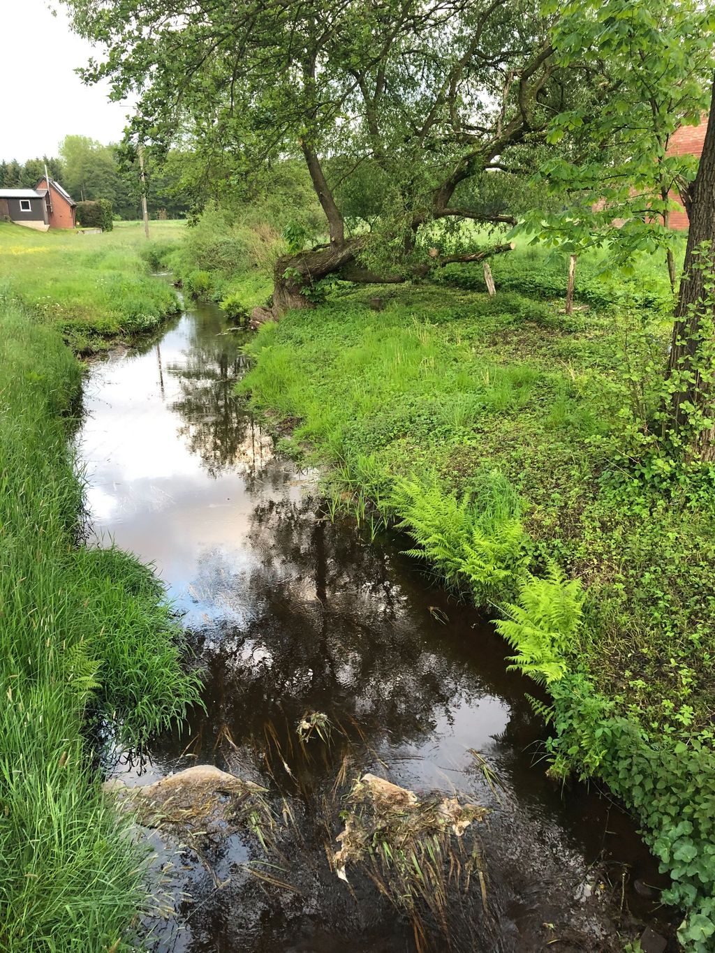 Idyllische Auszeit auf dem Land 