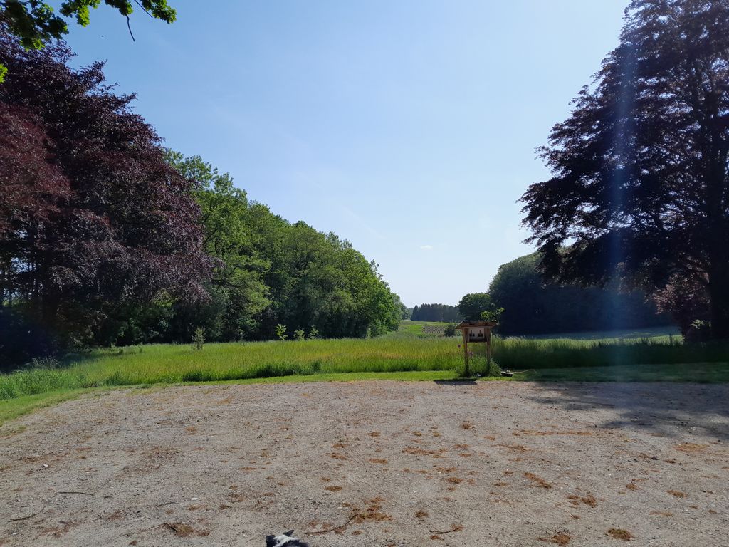 Seeblick Jürgenshagen 