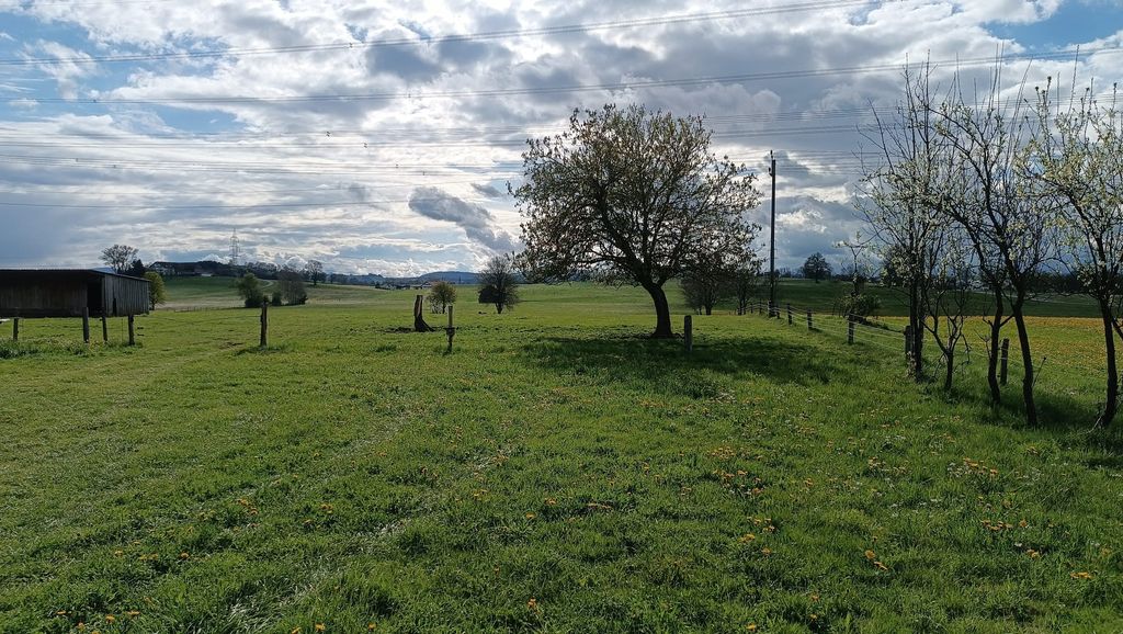 Weidecamping im Allgäu in der Nähe von Kempten