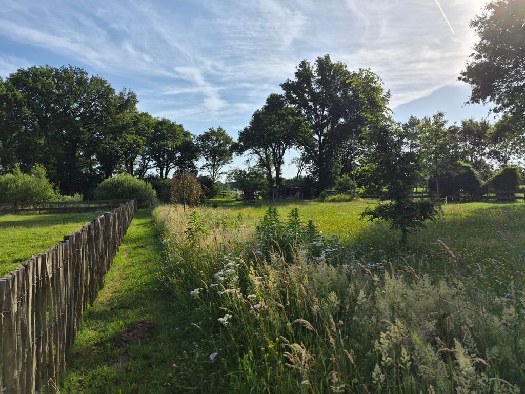 Piazzola idilliaca vicino al fiume Vecht