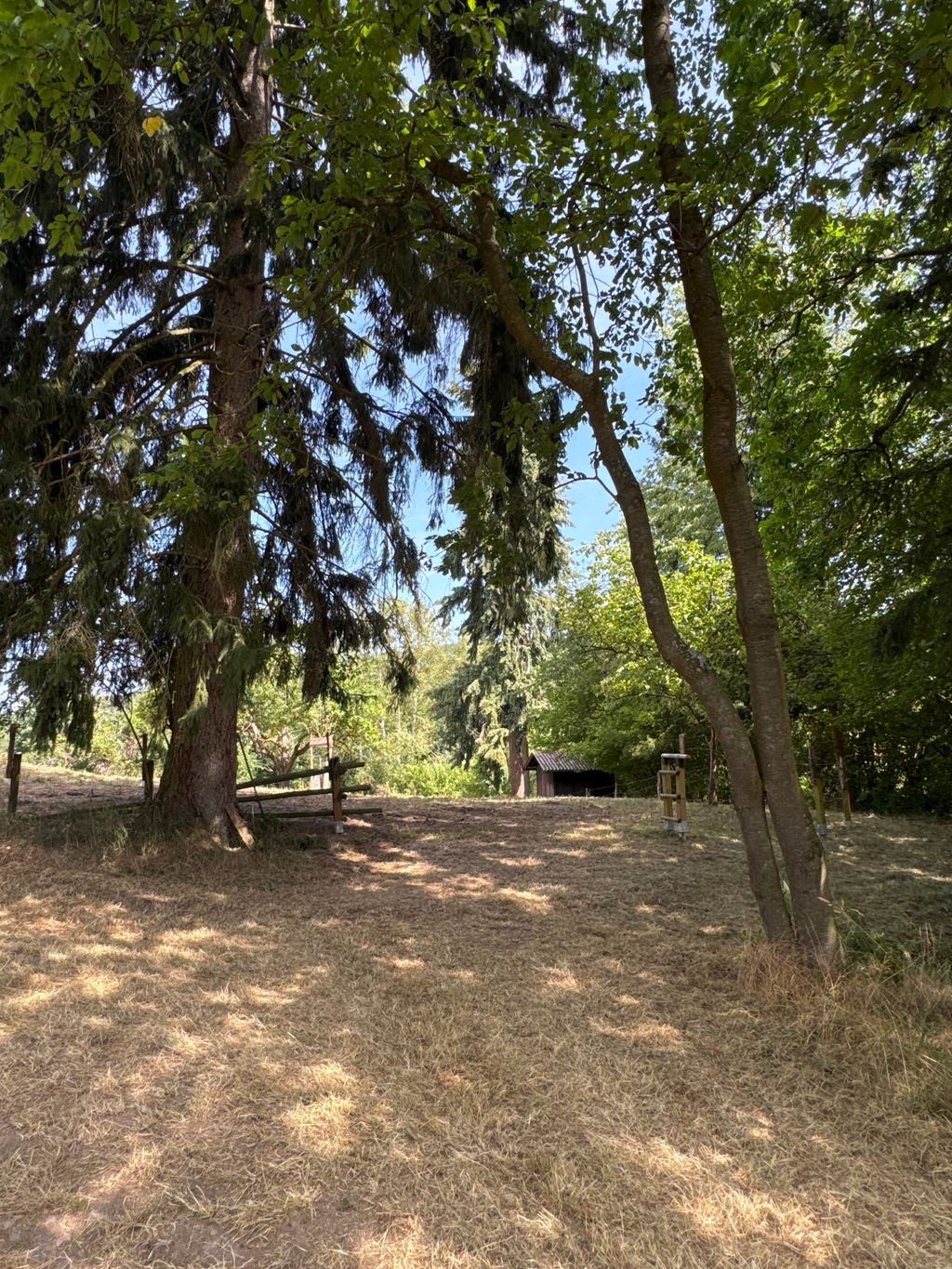 Your path to the cabin: Here, you'll pass through our pasture entrance. This way, you'll walk right past our cows—up close and personal—on your way to your private retreat.