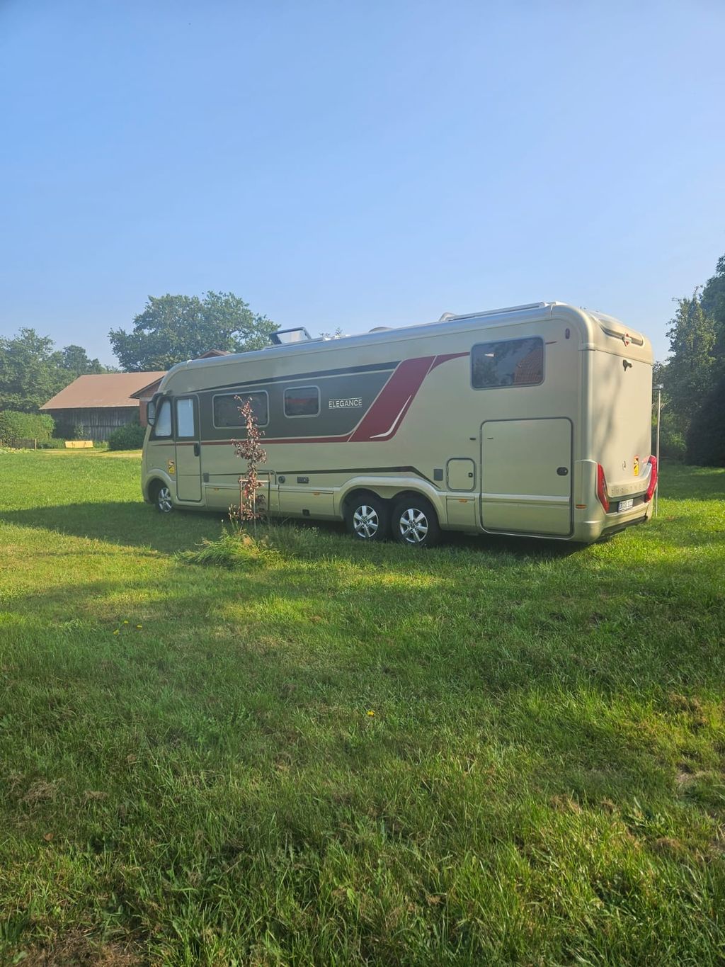 Green meadow in the forest or idyllic yard parking lot