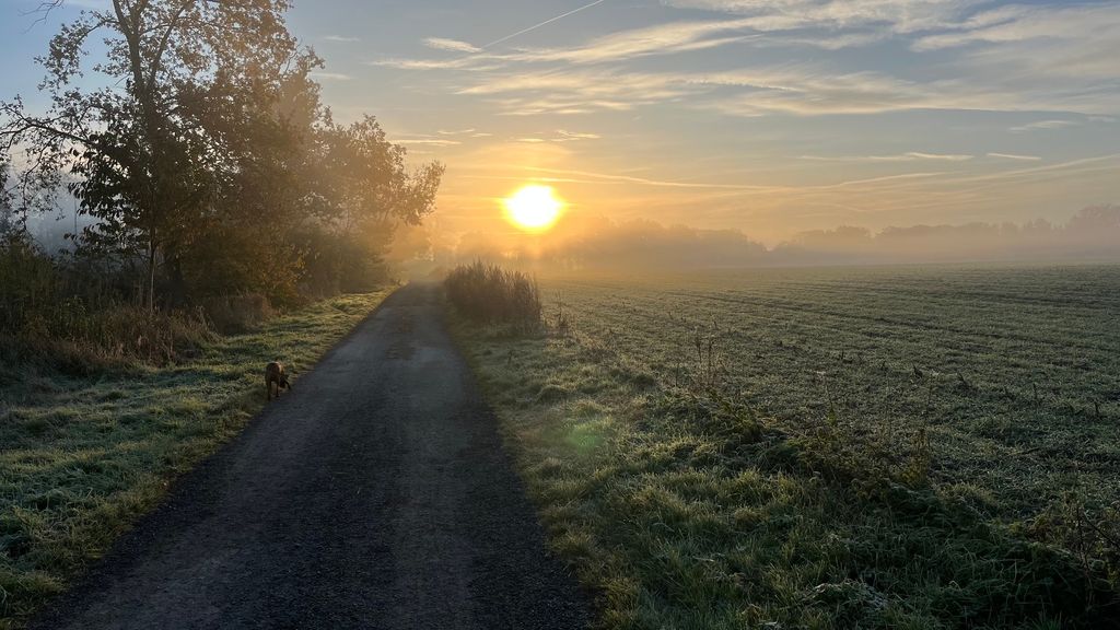 Prato naturale presso il recinto dei daini: tranquillità e vista sulle cicogne