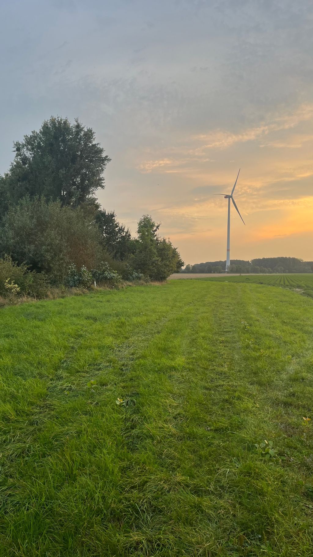 At the edge of the field