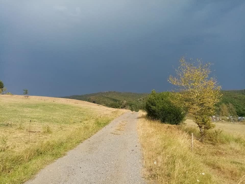 Parcela de la granja ecológica Ulmenhof