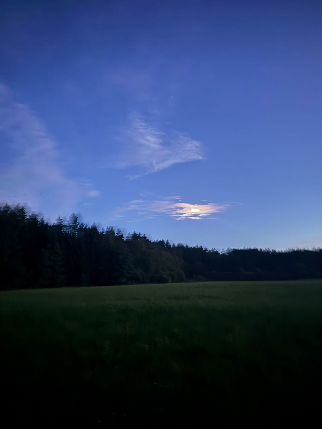 Camping sur l'alpage et au bord du ruisseau à 800 mètres d'altitude