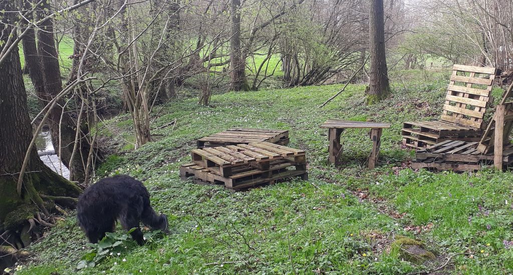Pradera aislada junto a un pequeño bosque en un lugar apartado