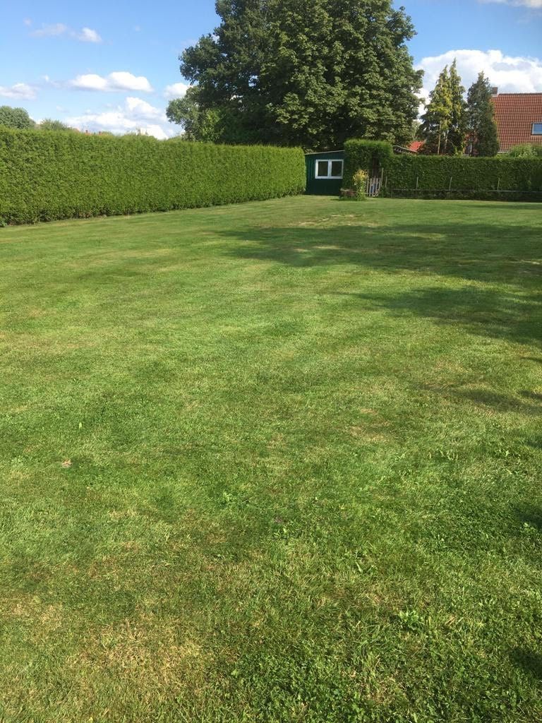 Vacanze nell'idilliaca Frisia orientale
