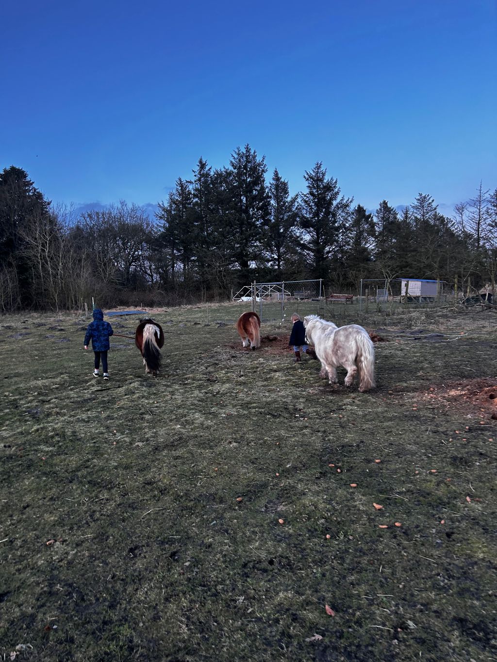 Vacation on a farm in Denmark