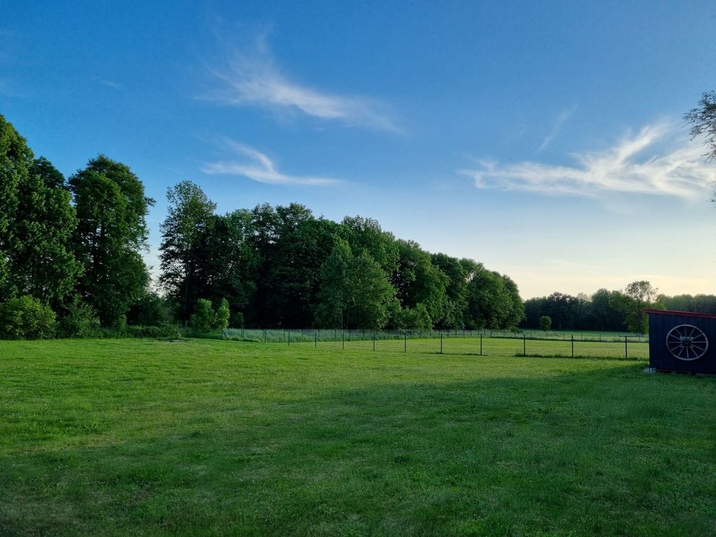 Ruhiger Stellplatz mit Naturblick & Sternenhimmel