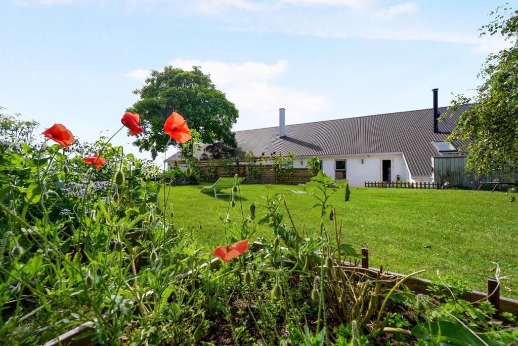 Alpaka Camping Fjord und Nordsee