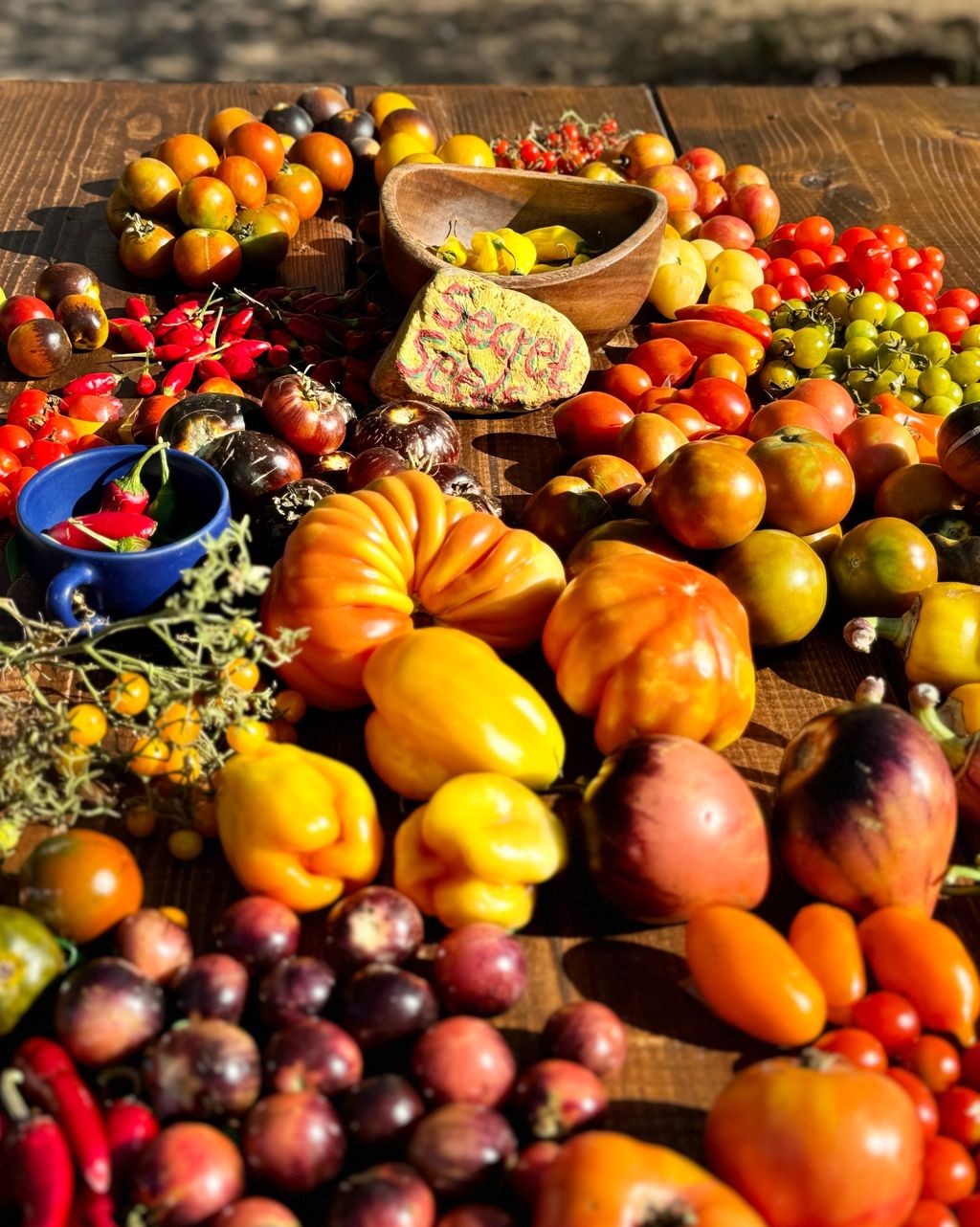 SecretSeeds Farm 🍅🥬🥕