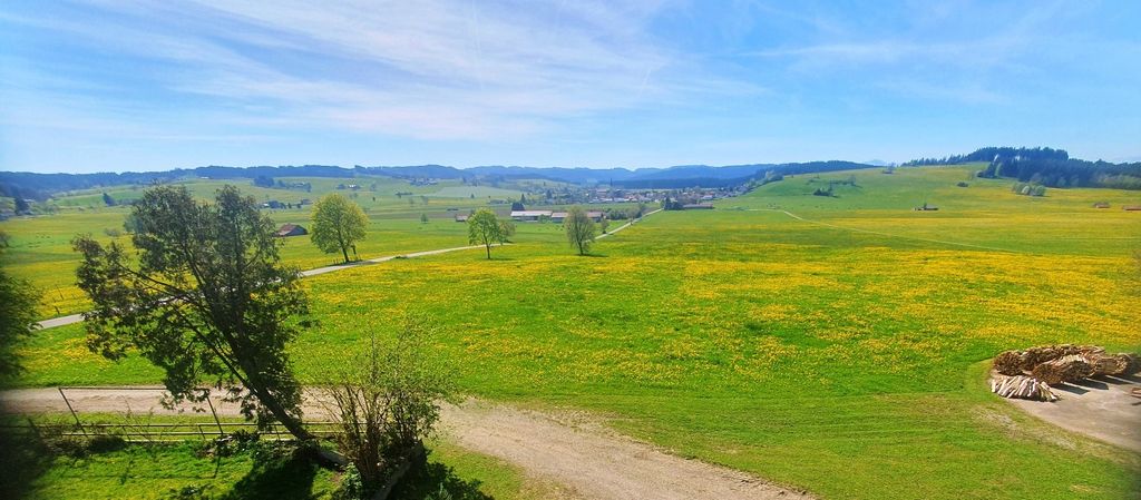 Südblick vom Steinbühl