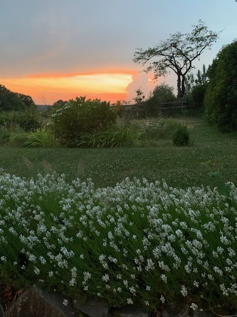Auszeit im Bergischen Land