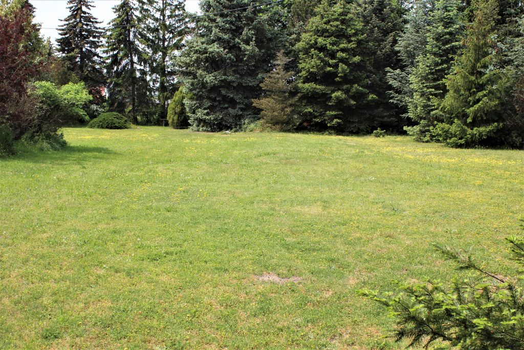 Pure country air, at the Lusatian Lakeland