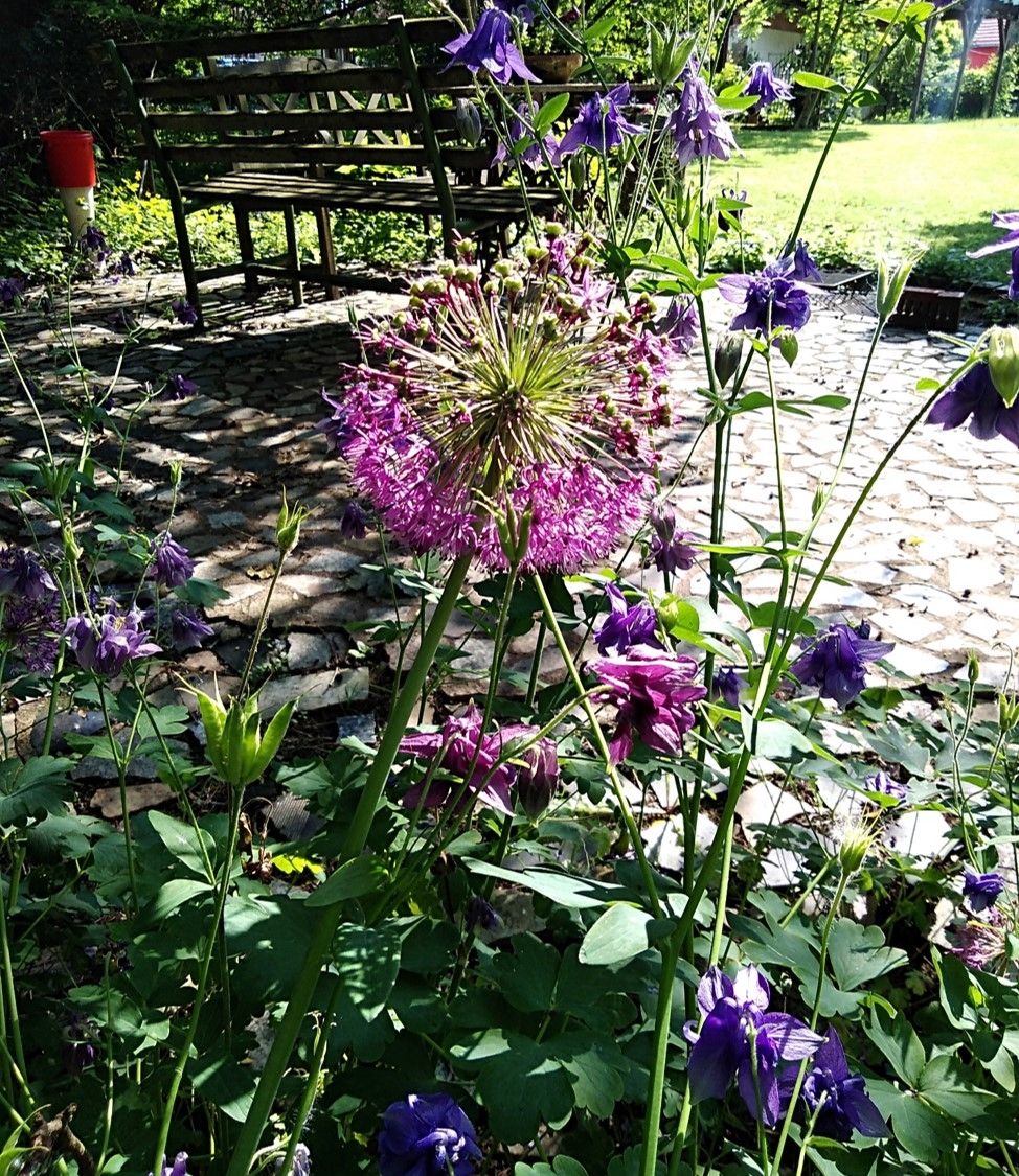 Idylle zwischen Rhön und Rennsteig