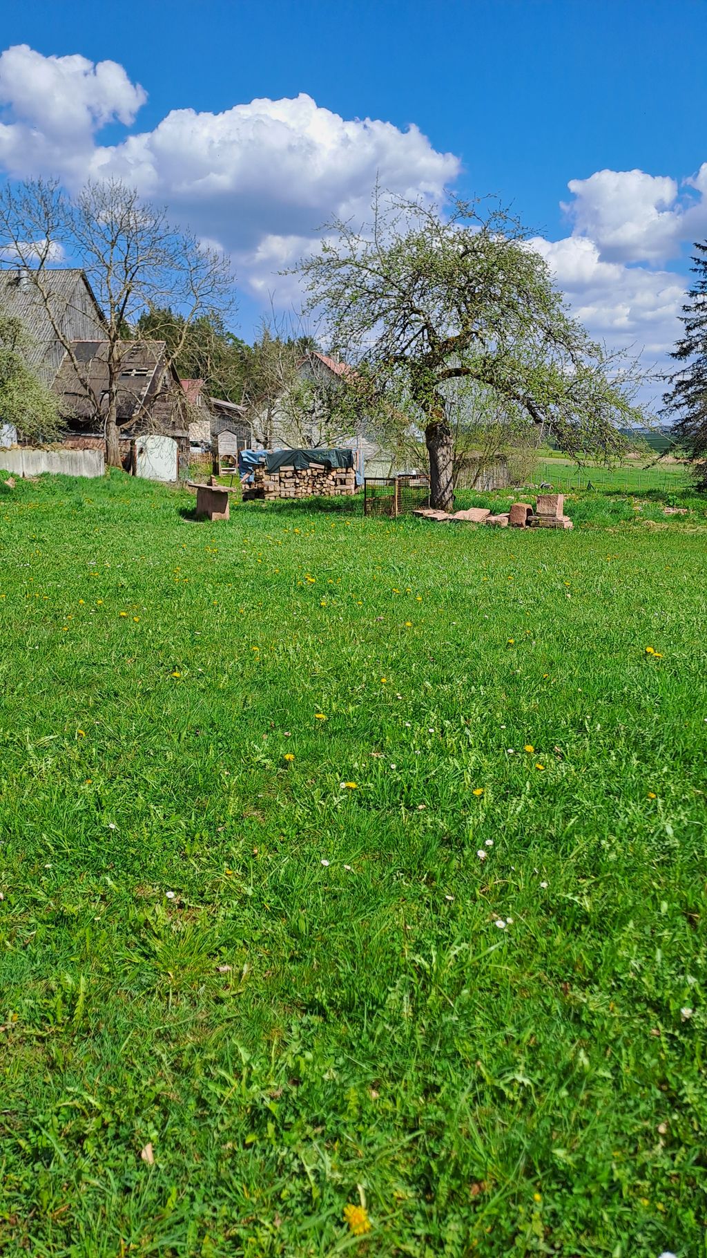 Au cœur de la Forêt-Noire, sans fioritures