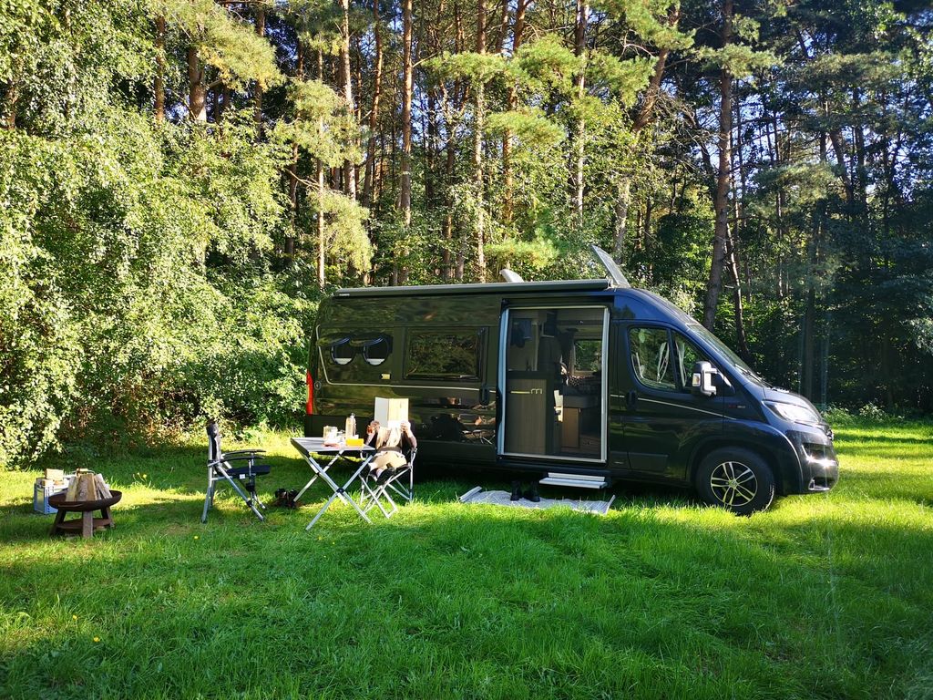 Green meadow in the forest or idyllic yard parking lot