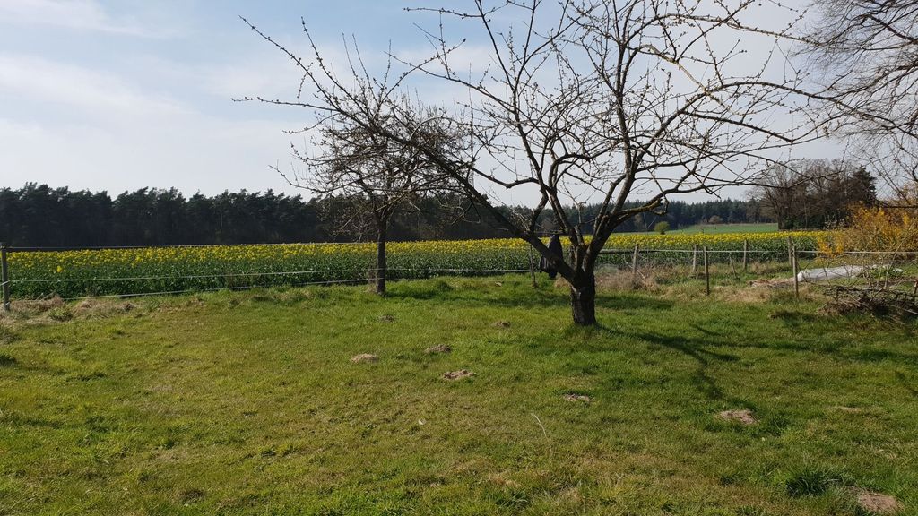 Un joli terrain de camping dans un petit verger