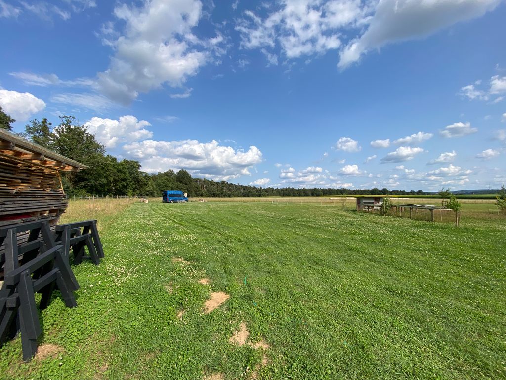 Wiese am Waldrand